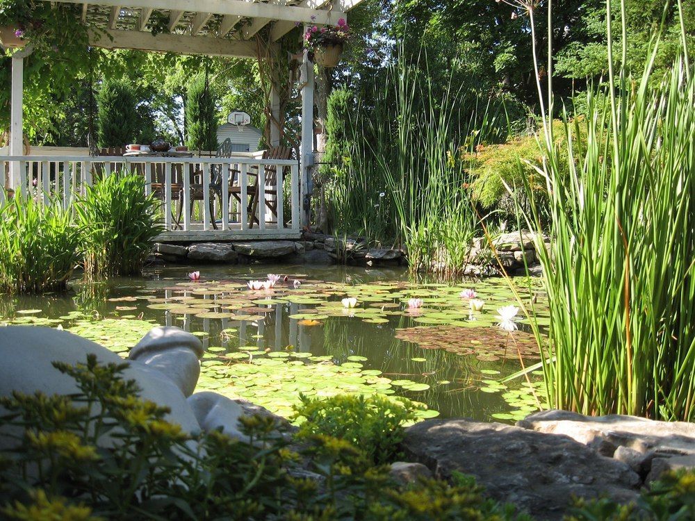 Carrousel Bed & Breakfast Cayuga Exterior photo