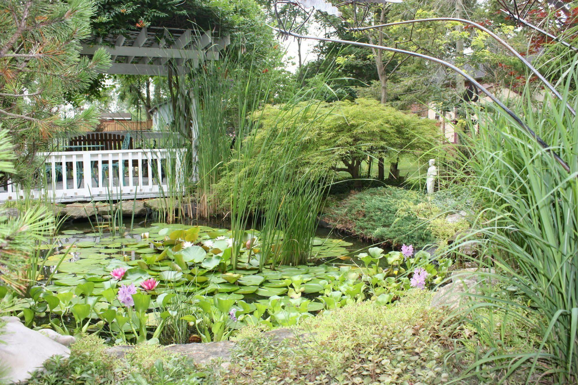 Carrousel Bed & Breakfast Cayuga Exterior photo